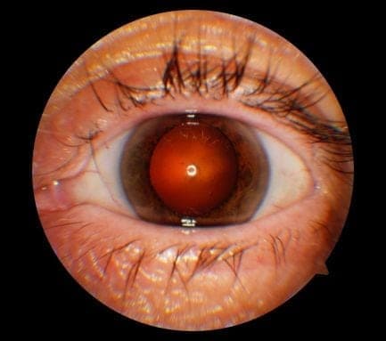 diagnostic ophthalmology clinic medic jukic